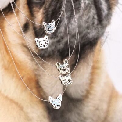 Collar Invisible Pets Dije 3D