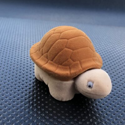 Aníllero tortuga