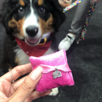 Charms Brazalete Colgante Raza Estándar