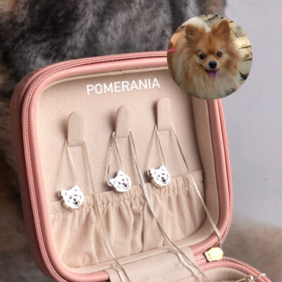 Cadena Cálada Razas Estándar Mascota