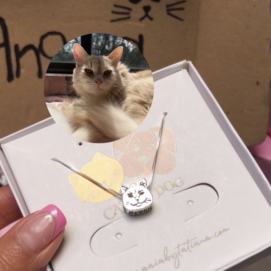 Cadena y Dije 3D Personalizado Mascota - Imagen 38